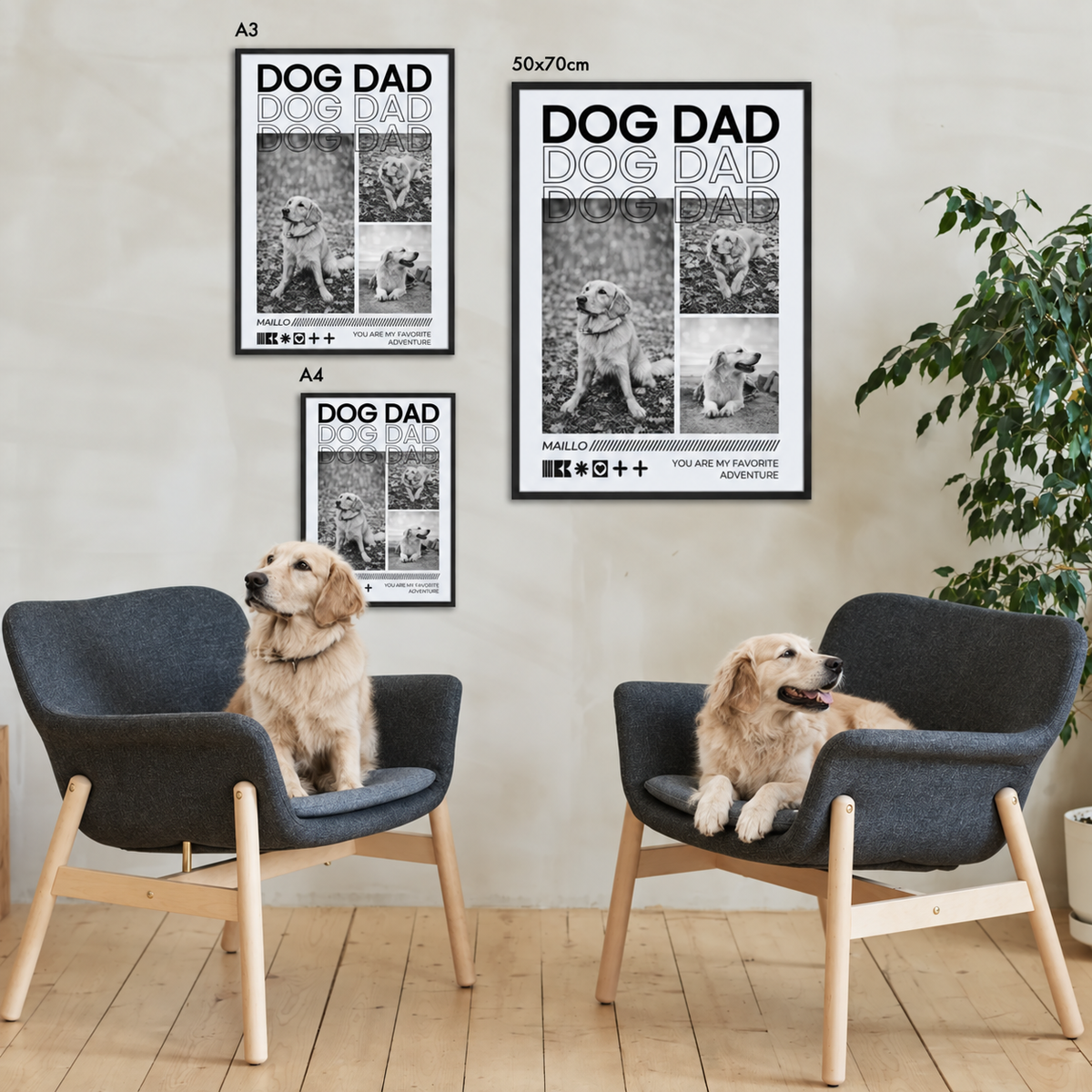 Tre poster Dog Dad personalizzati di diverse misure, senza cornice alla parete. Due cani su poltrone grigie.