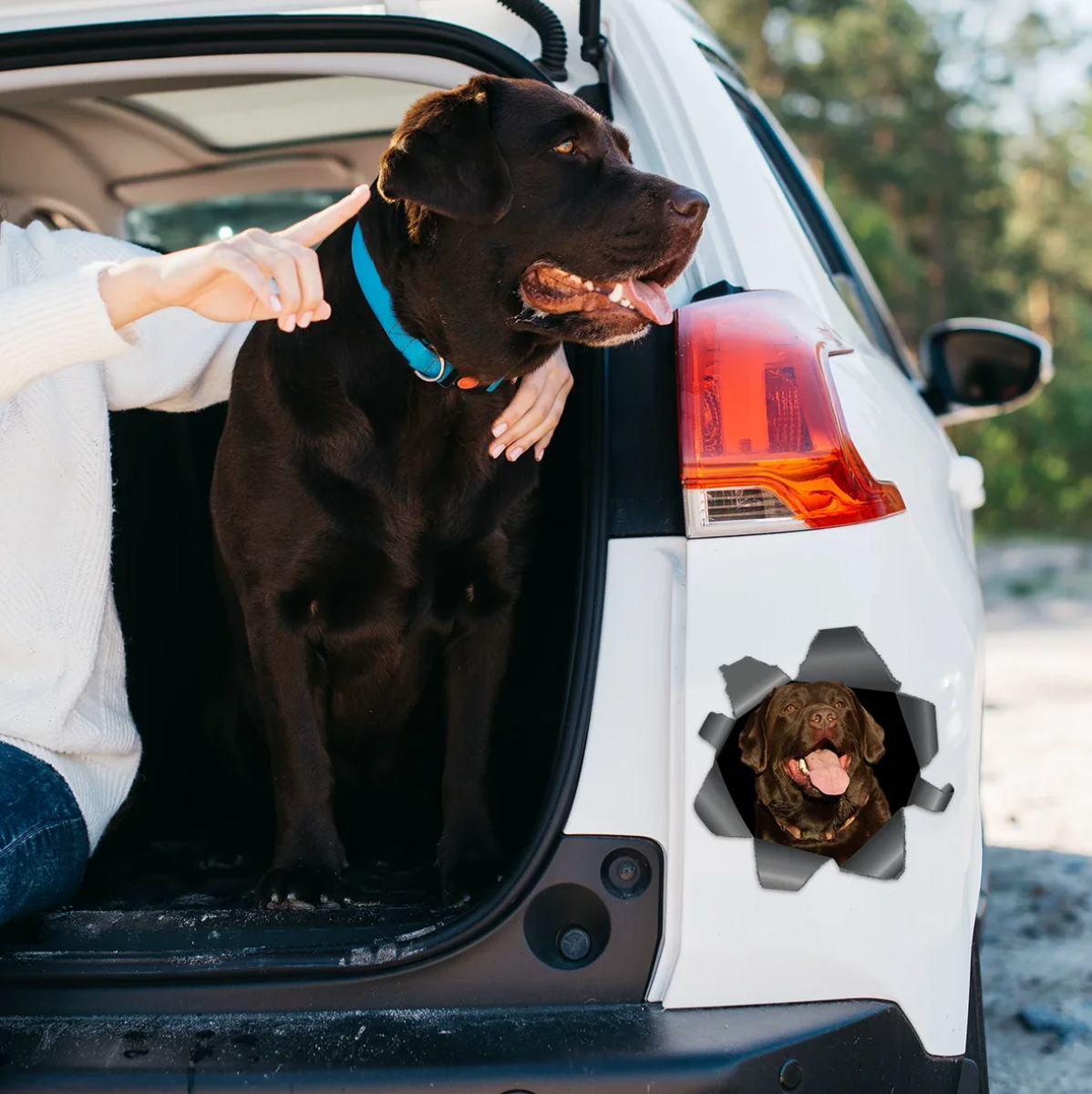 Adesivo per auto personalizzato - Foto che sbircia