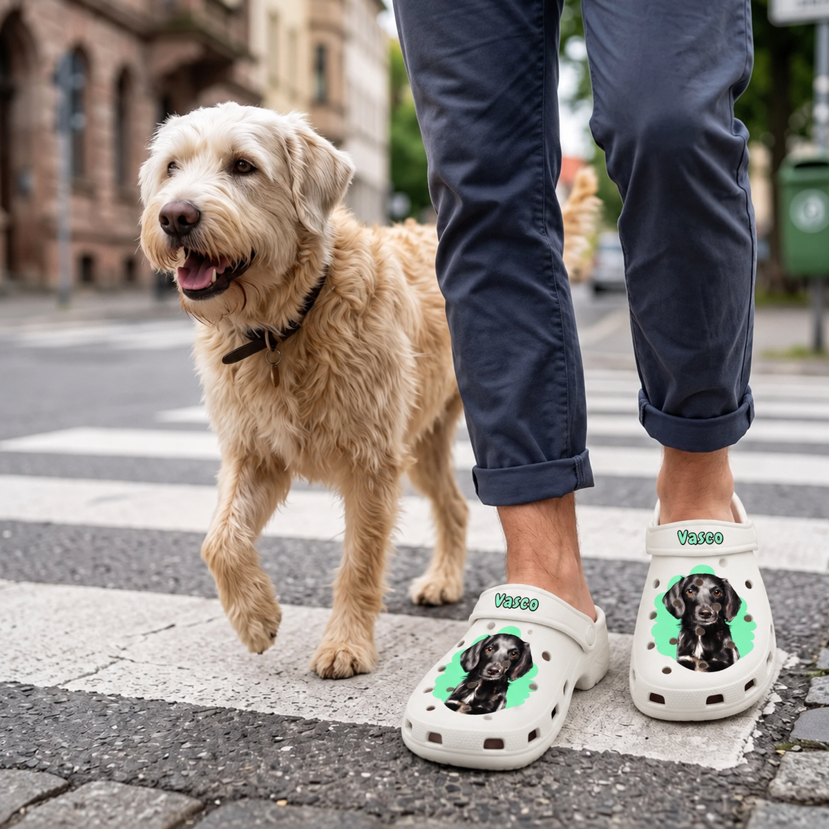 Zoccoli bianchi personalizzati con ritratto dell'animale e sfondo colorato, indossati da una persona con un cane.