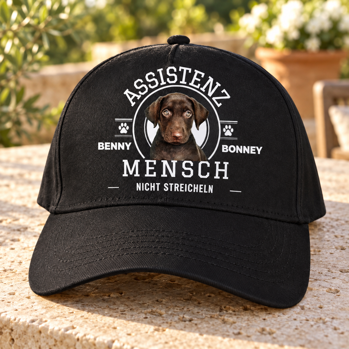 Cappellino nero con stampa “ASSISTENZ MENSCH”, immagine di cane e il testo “NICHT STREICHELN”.