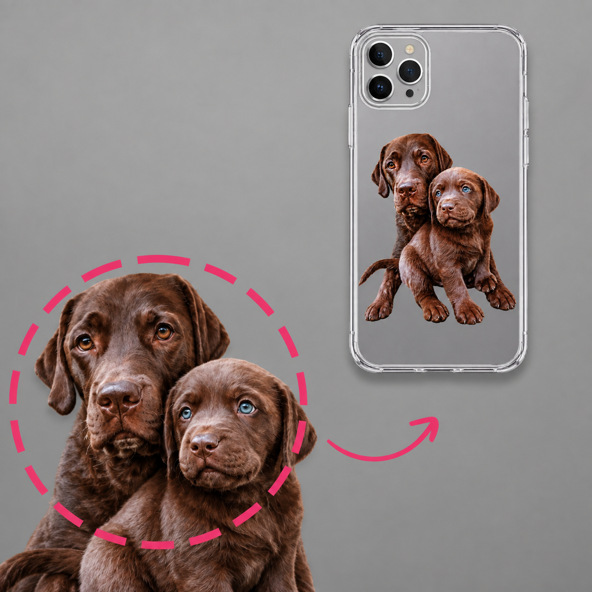 Cover per cellulare personalizzata con ritratto di due cuccioli di labrador marroni su sfondo trasparente.