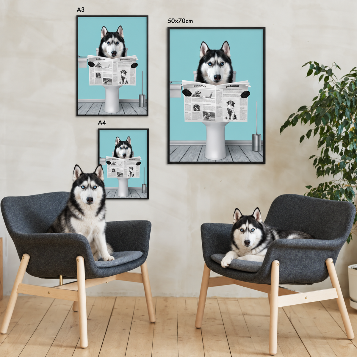 Tre poster personalizzati di un husky che legge il giornale in cornici nere. Sedie e pianta sullo sfondo.
