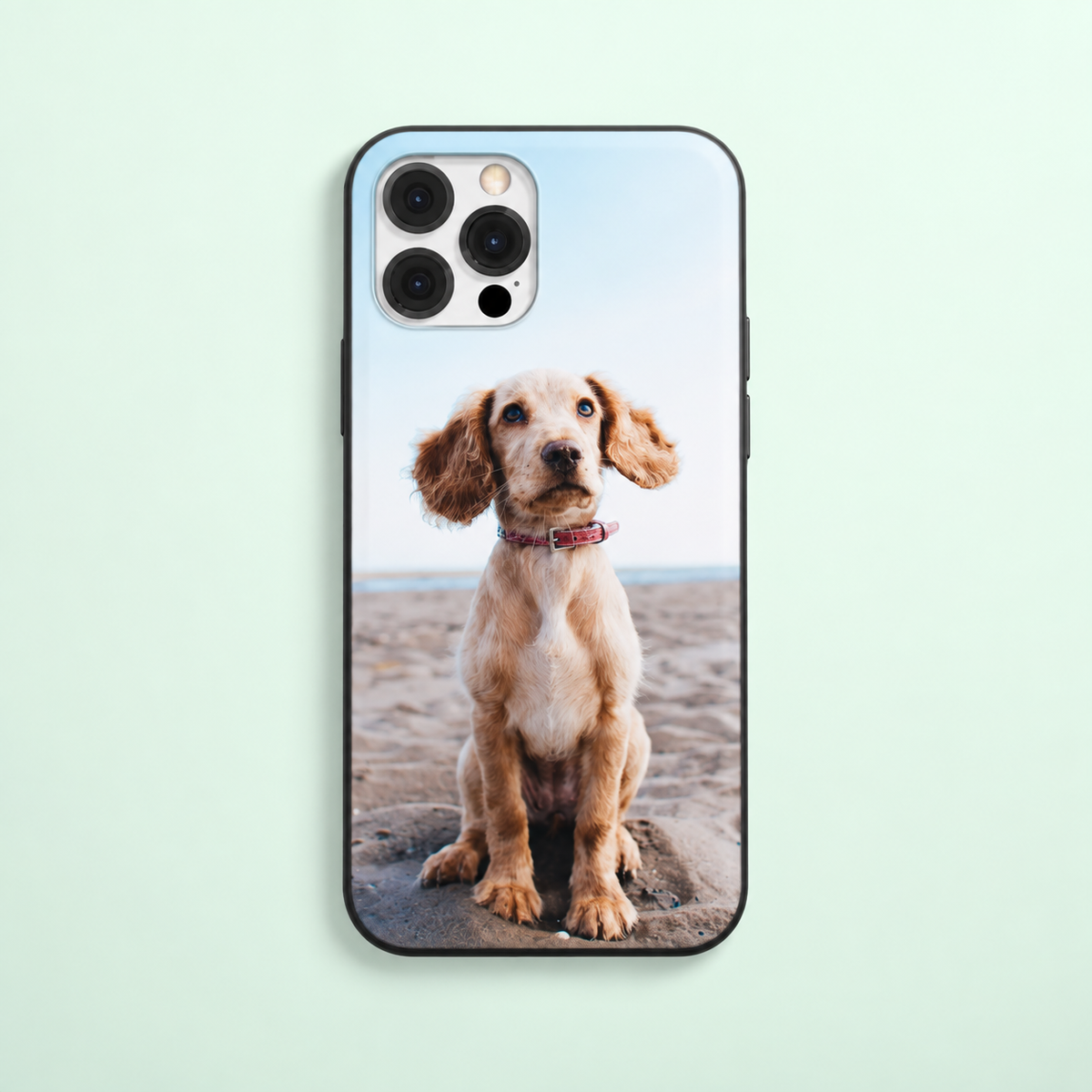 Cover per cellulare con foto di un cane seduto in spiaggia, bordo nero.