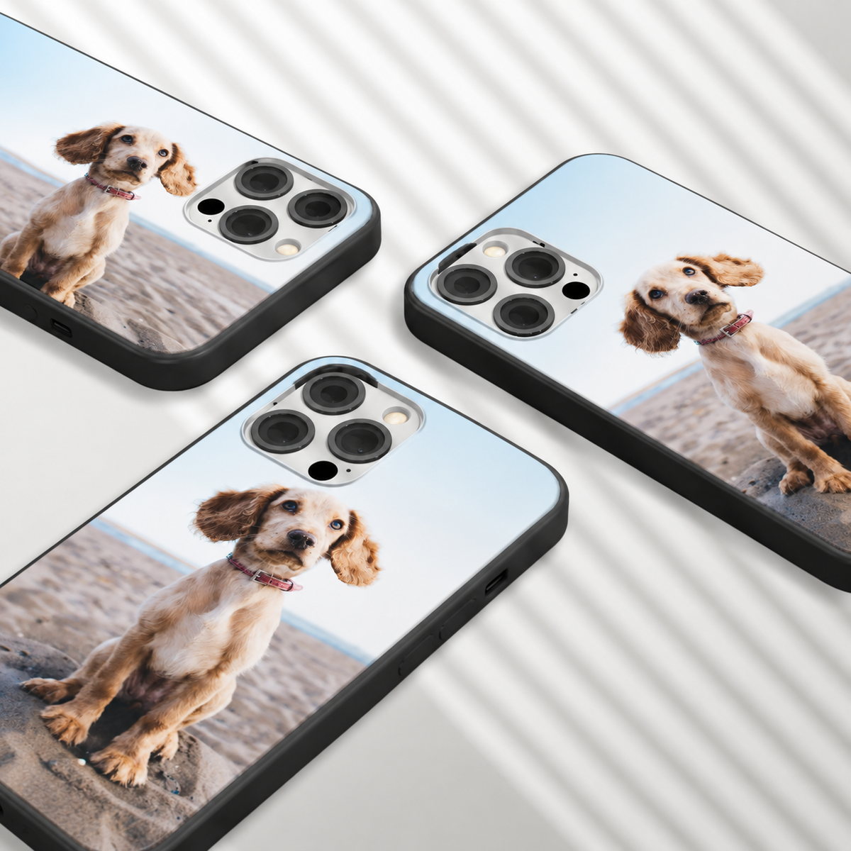 Tre cover personalizzate con foto di un cane su sfondo spiaggia.