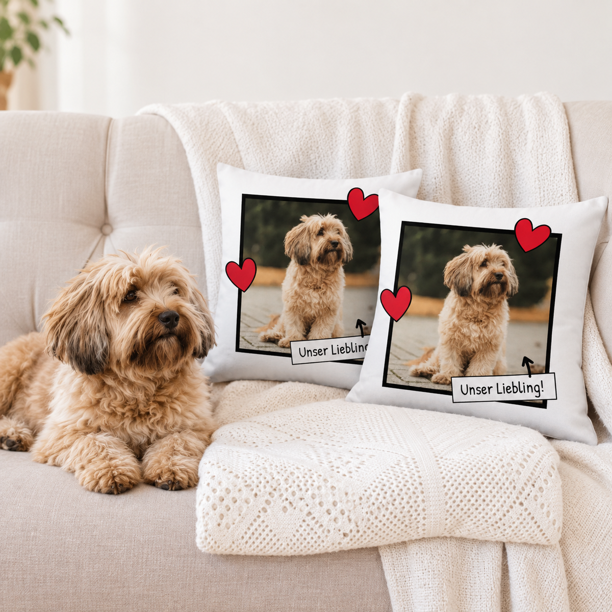Due cuscini personalizzati con foto di cane e cuori su un divano beige.