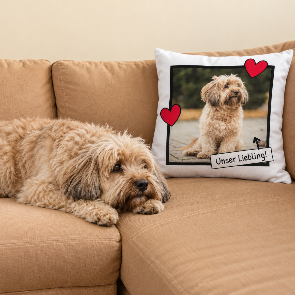 Cuscino personalizzato con foto di cane, cuori colorati e scritta su tessuto bianco.