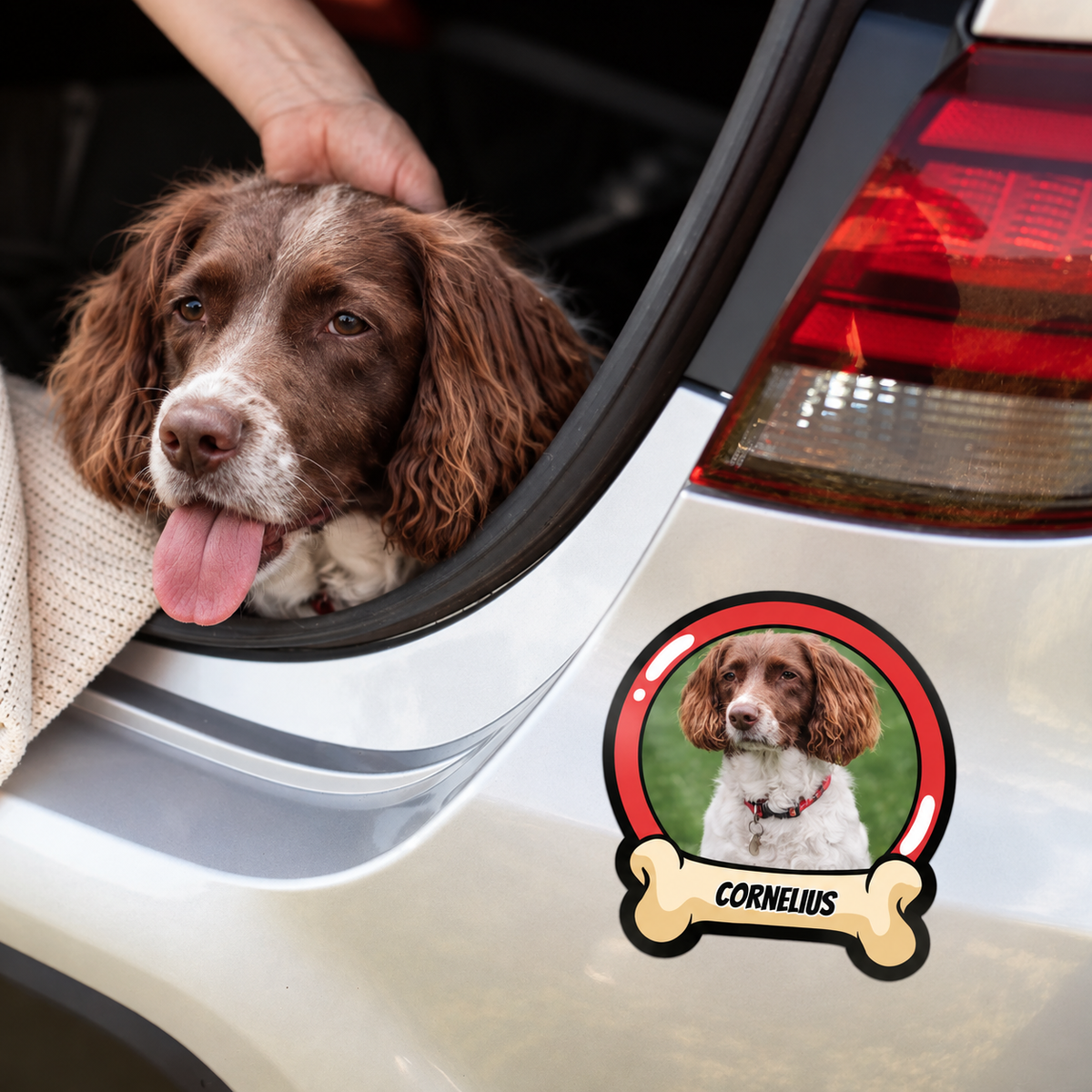 Adesivo per auto con foto di cane personalizzata e nome, su un veicolo argentato.
