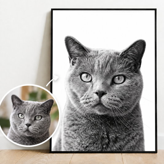 Poster personalizzato con ritratto di gatto grigio in bianco e nero. Include un'immagine più piccola a colori.