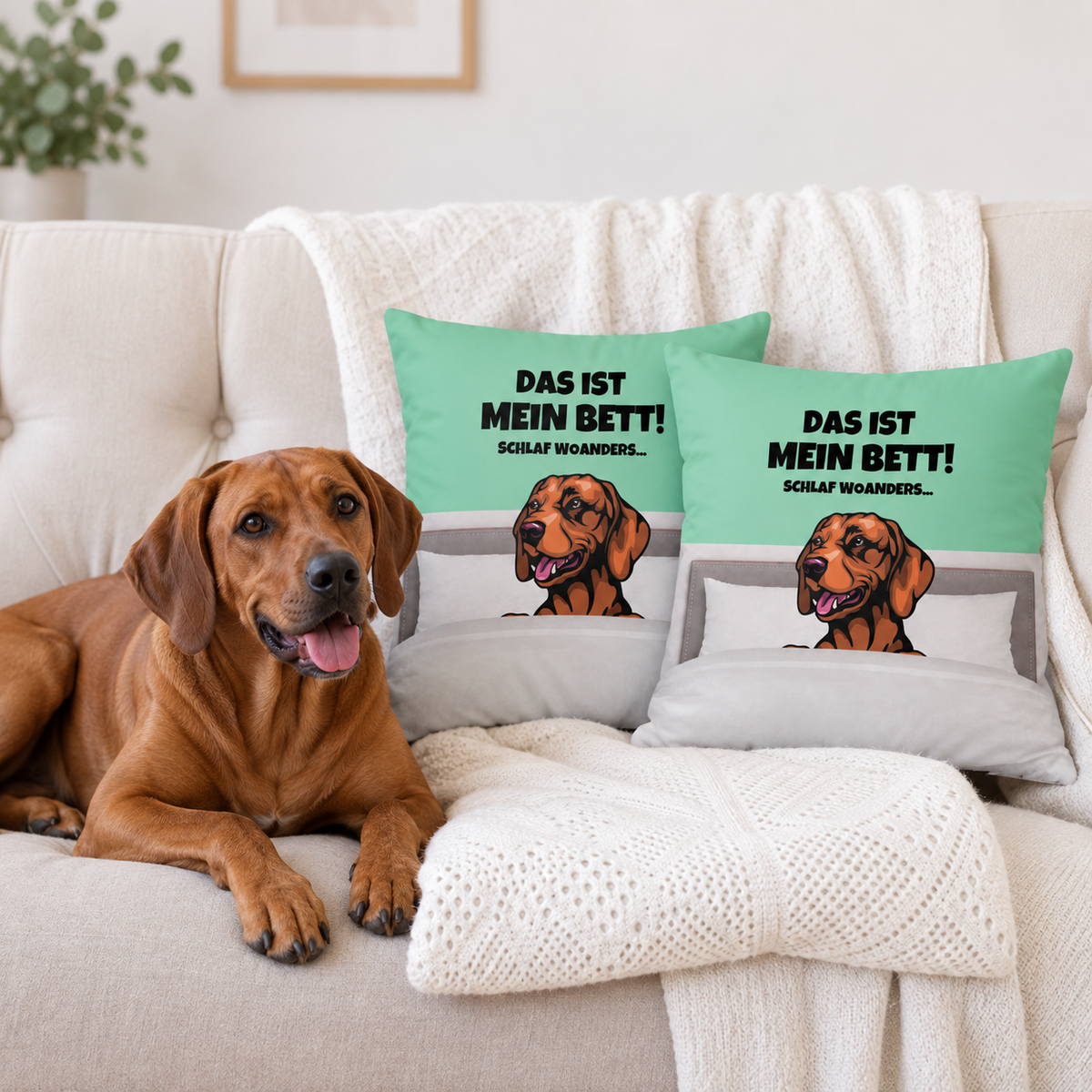 Cuscino azzurro e grigio con motivo di cane e il testo "Das ist mein Bett!" su un divano. Cane sdraiato accanto.