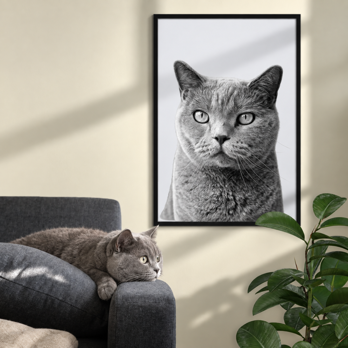 Poster personalizzato incorniciato con ritratto in bianco e nero di un gatto grigio. Gatto sdraiato su un divano.