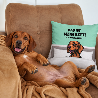 Cuscino marrone con cane e la scritta "Das ist mein Bett!" su sfondo turchese, cane rilassato su un divano.