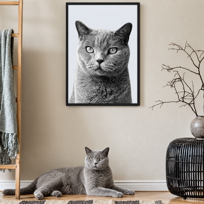 Ritratto grigio di animale incorniciato, accanto un gatto grigio sdraiato a terra. Ambiente minimalista.