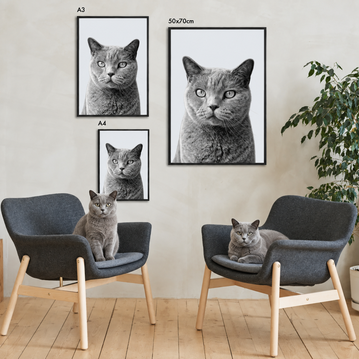 Tre ritratti incorniciati di un gatto tigrato grigio in un ambiente moderno.