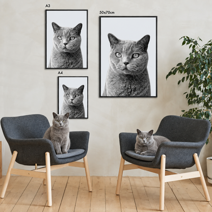 Tre ritratti incorniciati di un gatto tigrato grigio in un ambiente moderno.