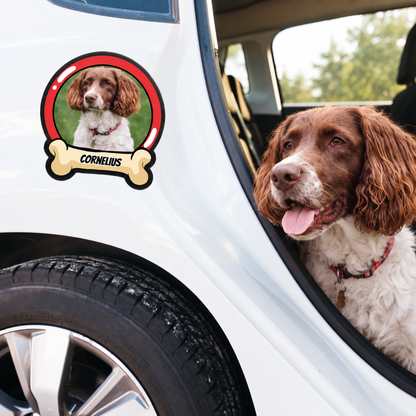 Adesivo per auto personalizzato con foto di cane e il nome "CORNELIUS" sulla portiera di un'auto bianca.