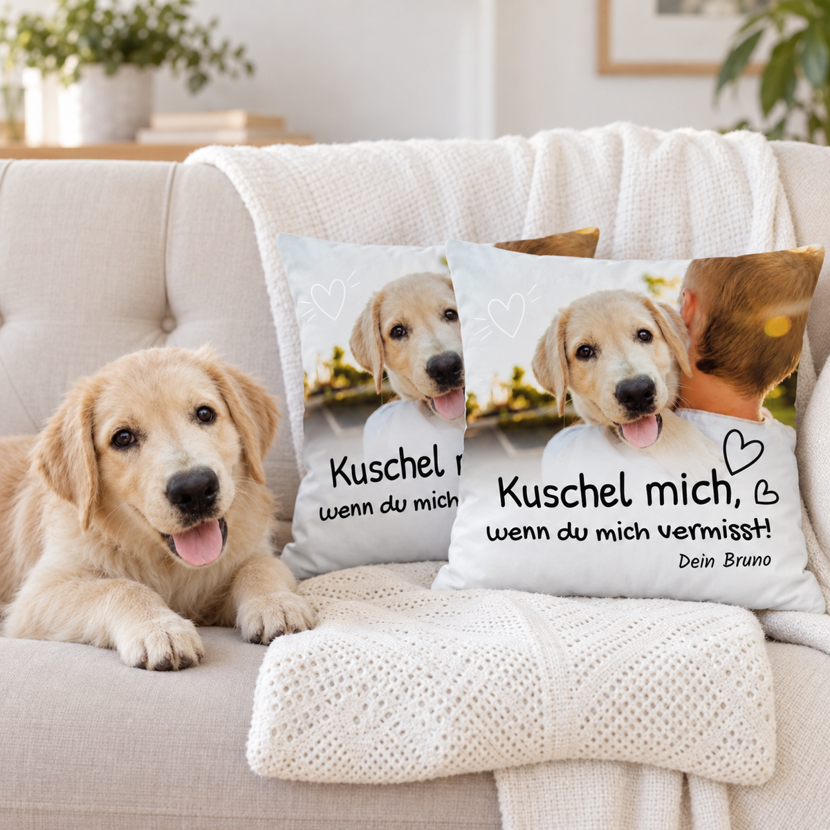 Due cuscini personalizzati con motivo di cane e testo, su un divano accanto a un cane.