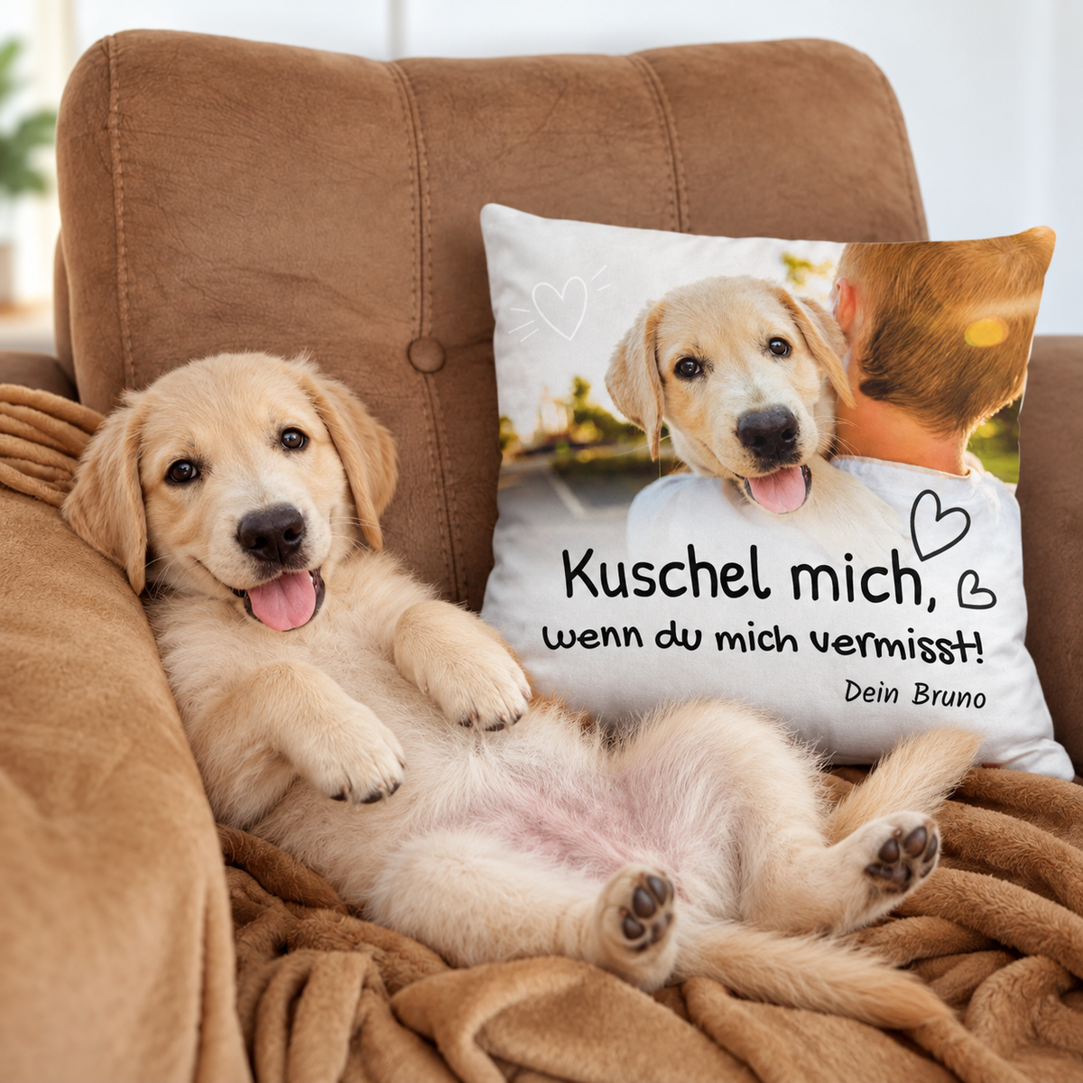 Cuscino con la scritta "Kuschel mich, wenn du mich vermisst!" e un motivo di cane.