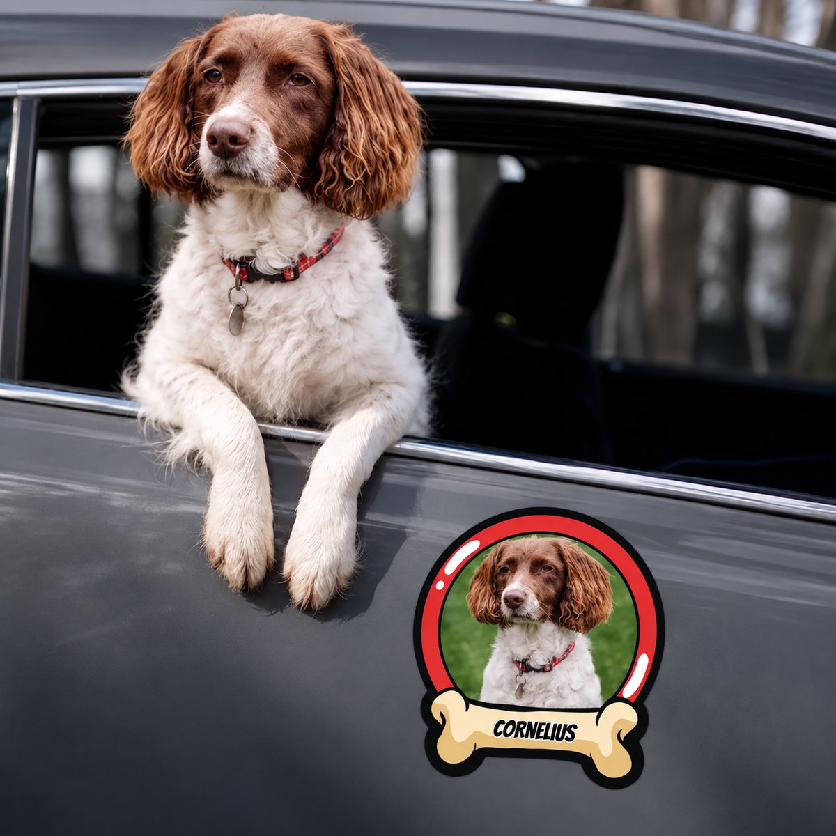 Adesivo per auto personalizzato con foto di cane e il nome "CORNELIUS" in una cornice a forma di osso.