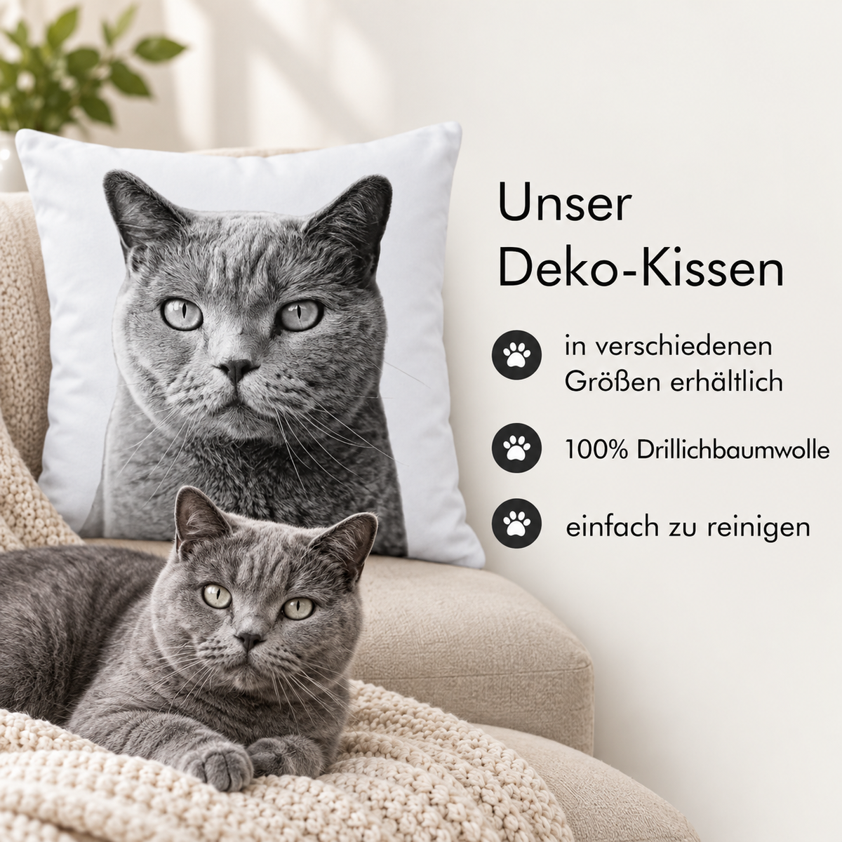 Cuscino con ritratto grigio dell'animale e un vero gatto grigio su una poltrona accogliente.