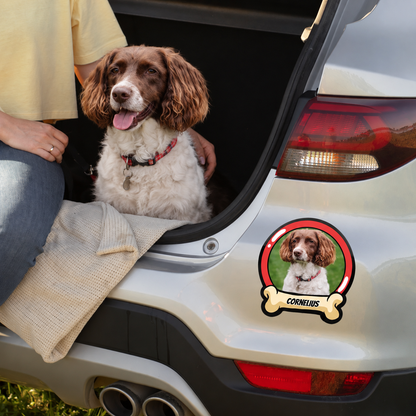 Adesivo per auto personalizzato con foto di cane e nome, sul bagagliaio di un'auto grigia.