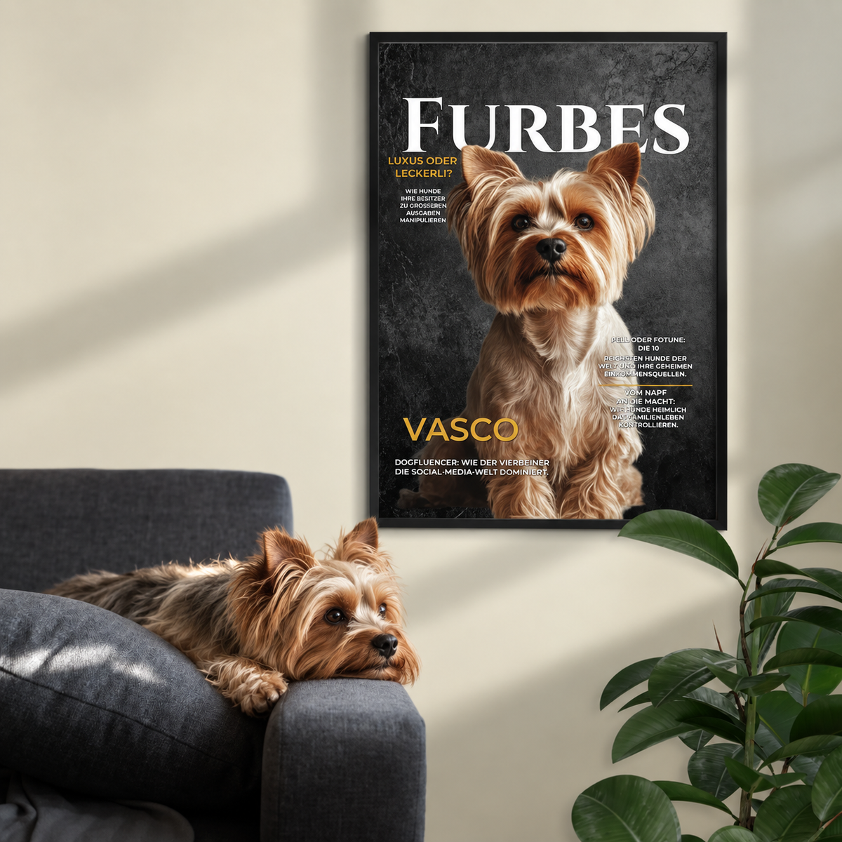 Poster di cane personalizzato in stile rivista, incorniciato, intitolato "FURBES". Cane rilassato su un divano.