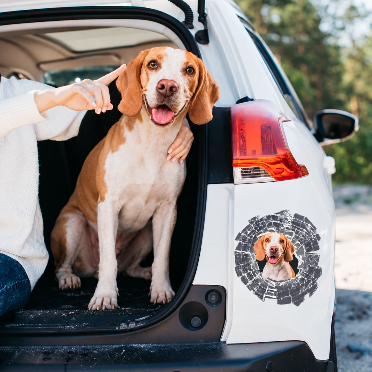 Adesivo per auto personalizzato - Foto che sbircia per vetro