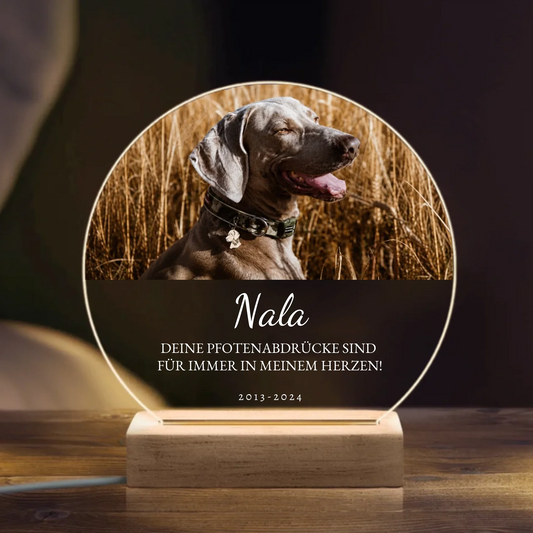 LED Nachtlicht (Kreis)
