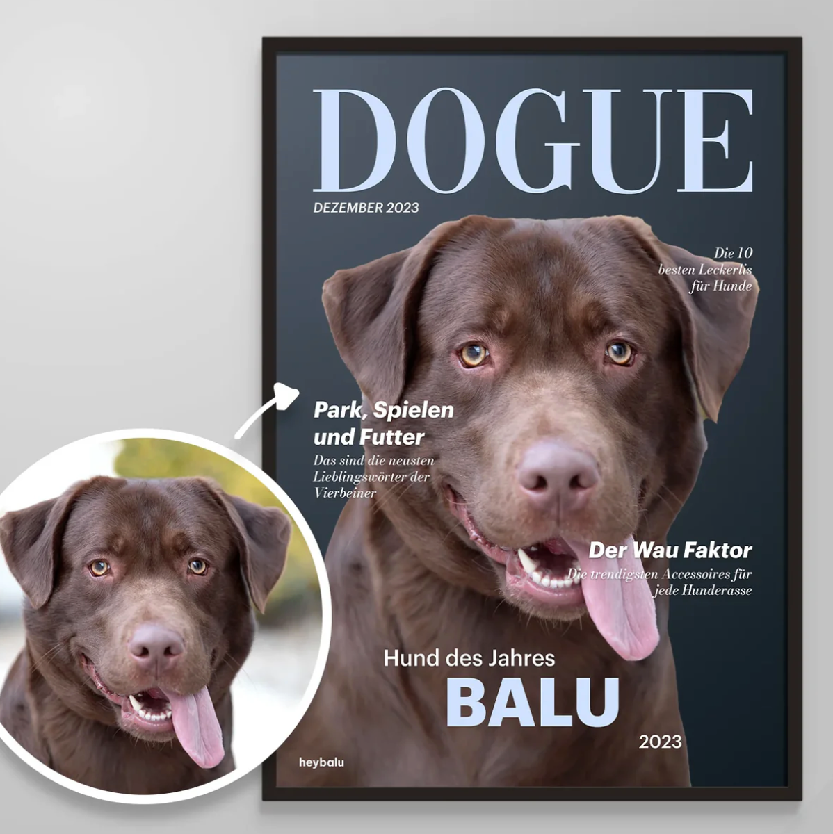 Poster personalizzabile per cane con un labrador sorridente, design moderno e grande scritta "DOGUE".