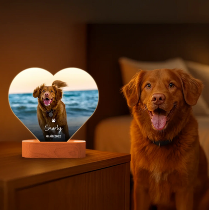 Luce notturna LED a forma di cuore con foto di cane personalizzata e scritta su base in legno.