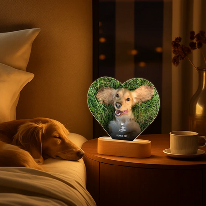 Luce notturna LED personalizzabile a forma di cuore con foto di un cane e base in legno.