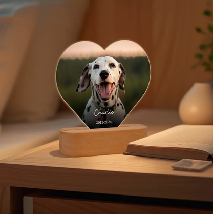 Luce notturna LED a forma di cuore con foto di un dalmata, personalizzata con nome e anni su base in legno.