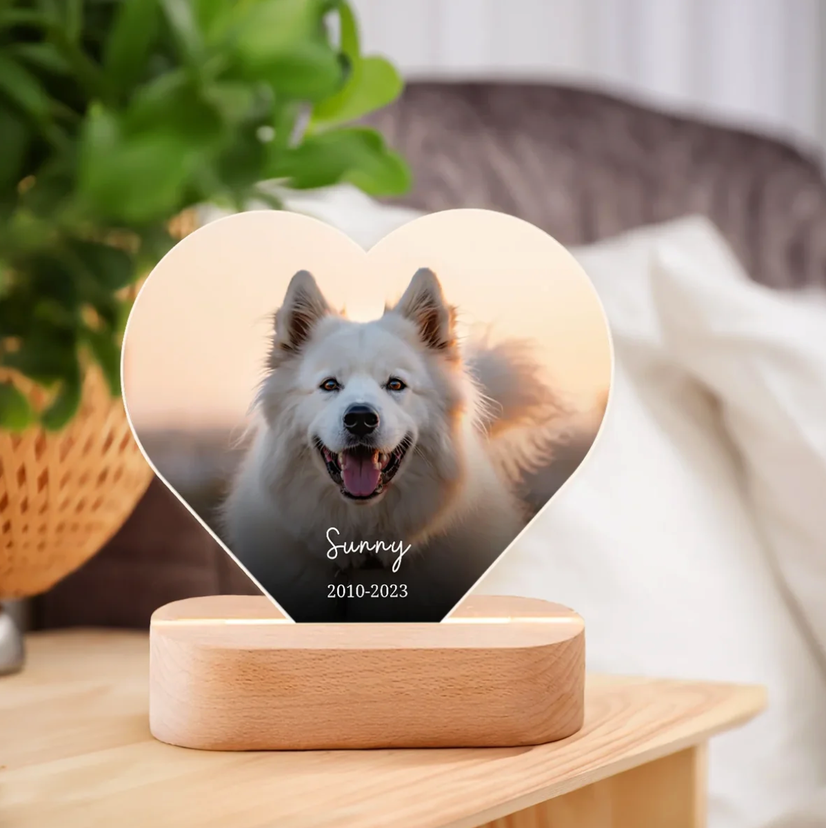 Luce notturna LED personalizzata a forma di cuore con foto di cane, montata su base in legno.