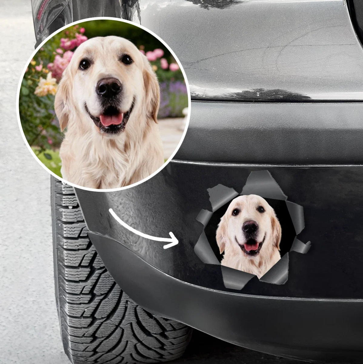 Adesivo per auto personalizzato con foto di cane che spunta da un effetto strappo.
