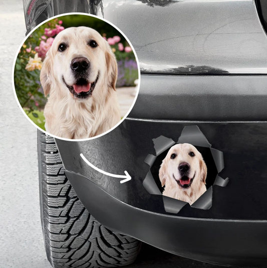 Adesivo per auto personalizzato con foto di cane che spunta da un effetto strappo.