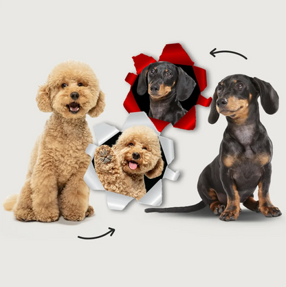 Due cani, un goldendoodle e un bassotto, uno accanto all'altro, con effetti fotografici sullo sfondo.