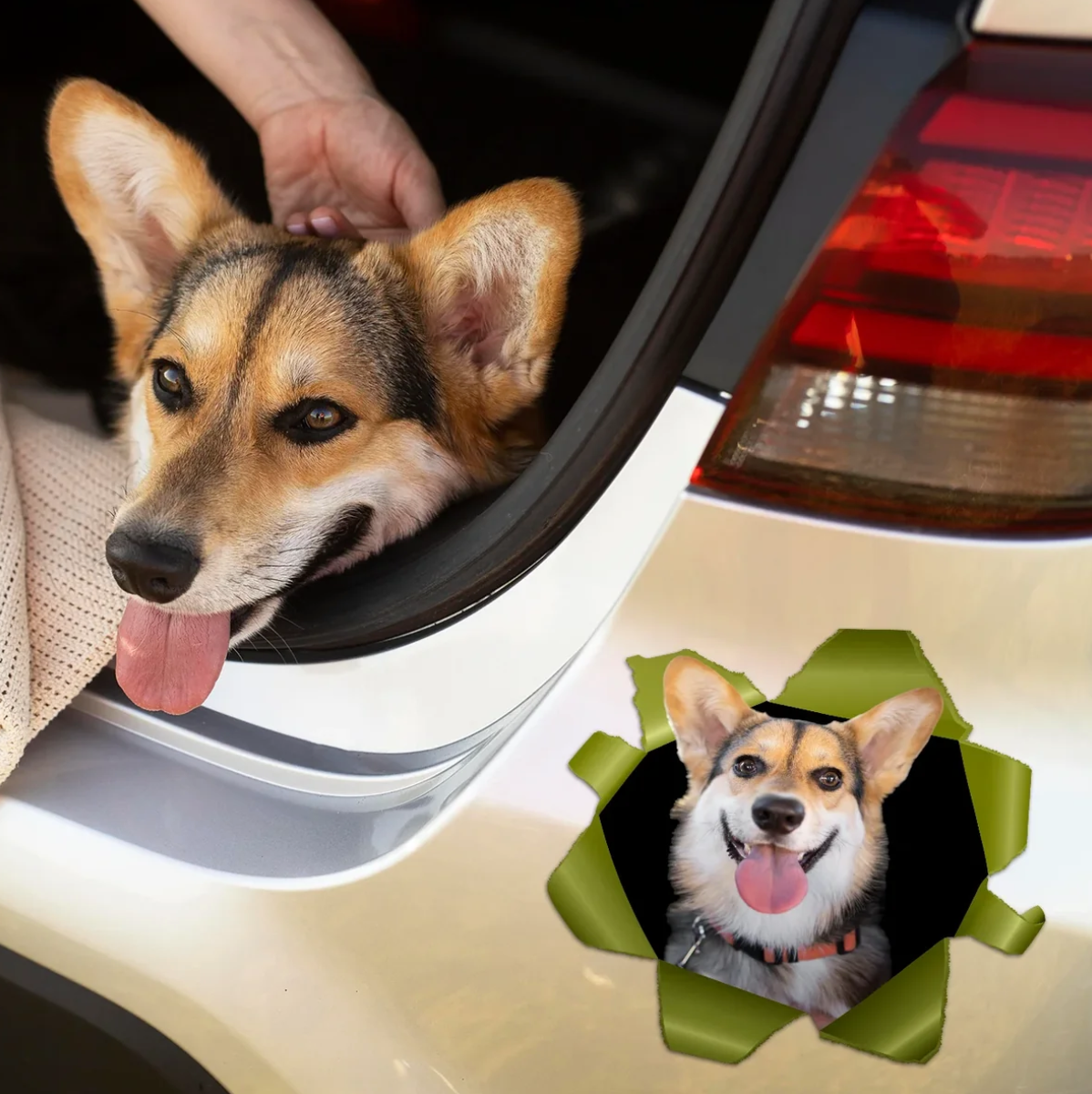 Adesivo per auto personalizzato con motivo di cane, mostra un corgi sorridente in un'apertura.