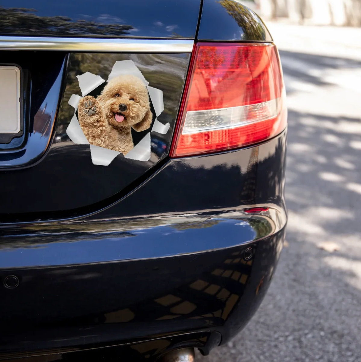 Adesivo per auto con un cane che guarda da una crepa in un muro grigio, applicato su un'auto nera.