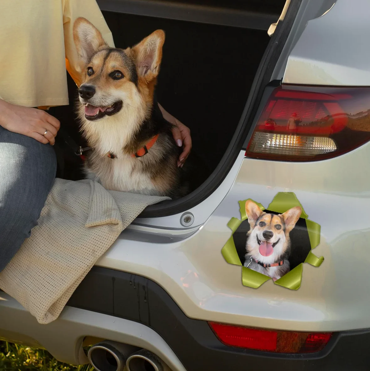 Adesivo per auto personalizzato - Foto che sbircia