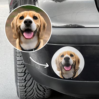 Adesivo per auto personalizzato con foto di un beagle e la scritta "Bau".