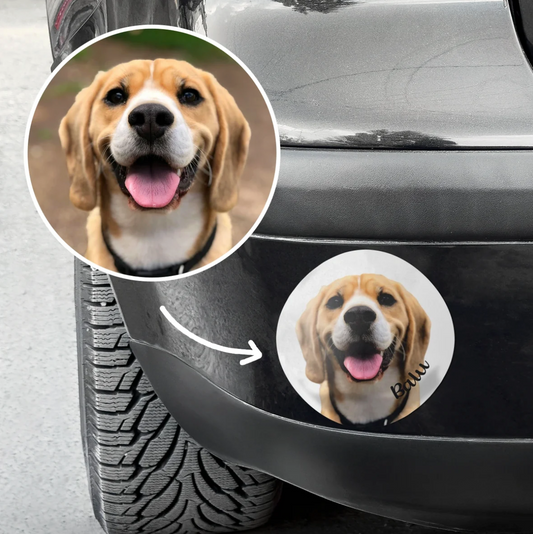 Adesivo per auto personalizzato con foto di un beagle e la scritta "Bau".