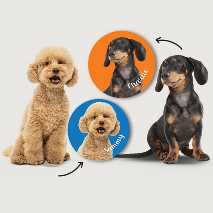 Cani in diversi colori e pose, circondati da adesivi rotondi con nomi su sfondo colorato.