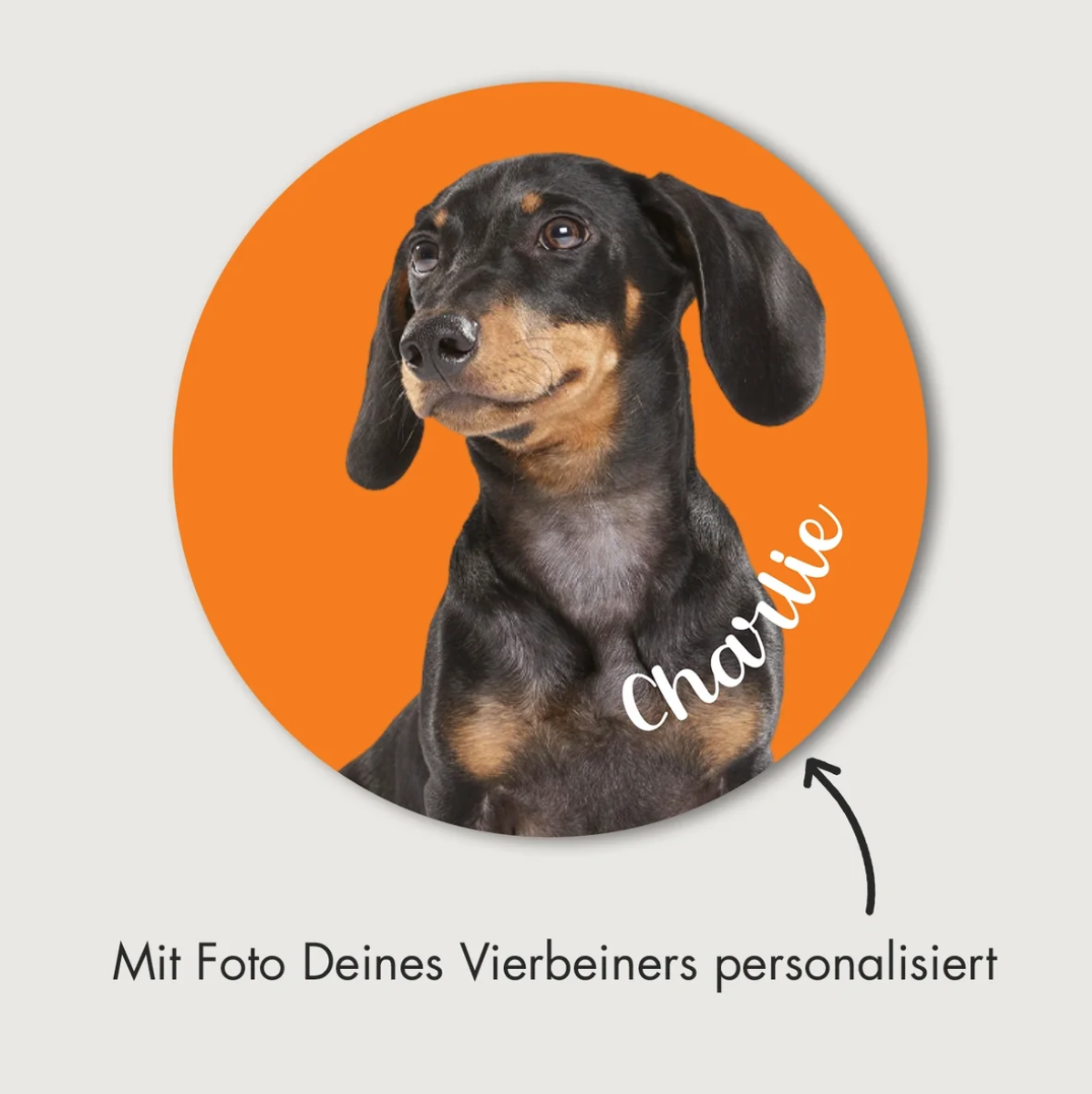 Adesivo per auto rotondo con foto di cane, sfondo arancione e testo personalizzato "Charlie".