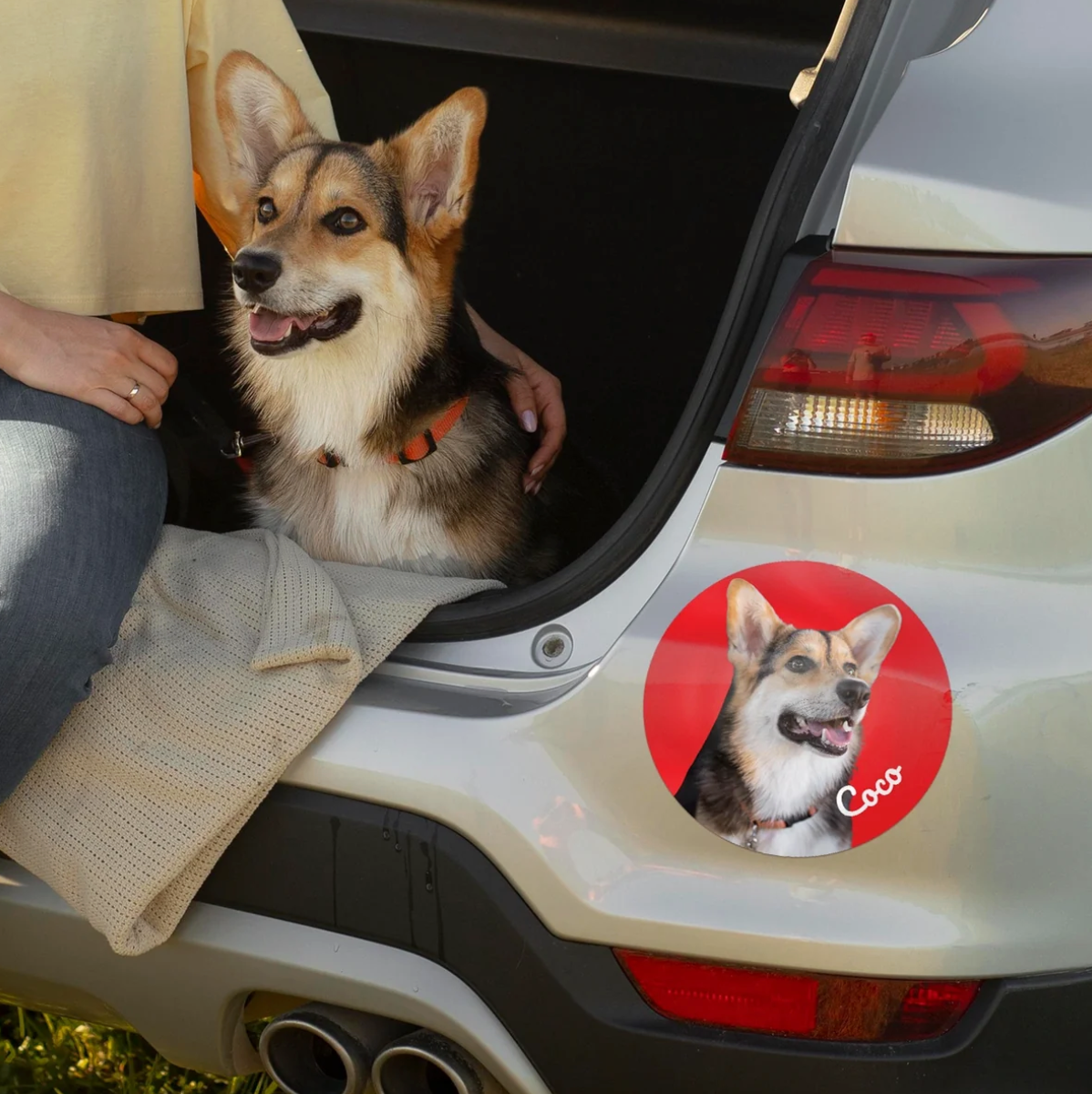 Adesivo per auto con foto di un cane sul portellone posteriore.