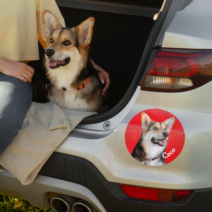 Adesivo per auto con foto di un cane sul portellone posteriore.