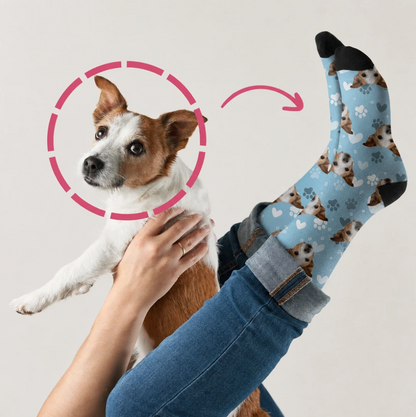 Calzini personalizzati con fantasia di cani blu e punta nera, indossati da una persona con un cane.