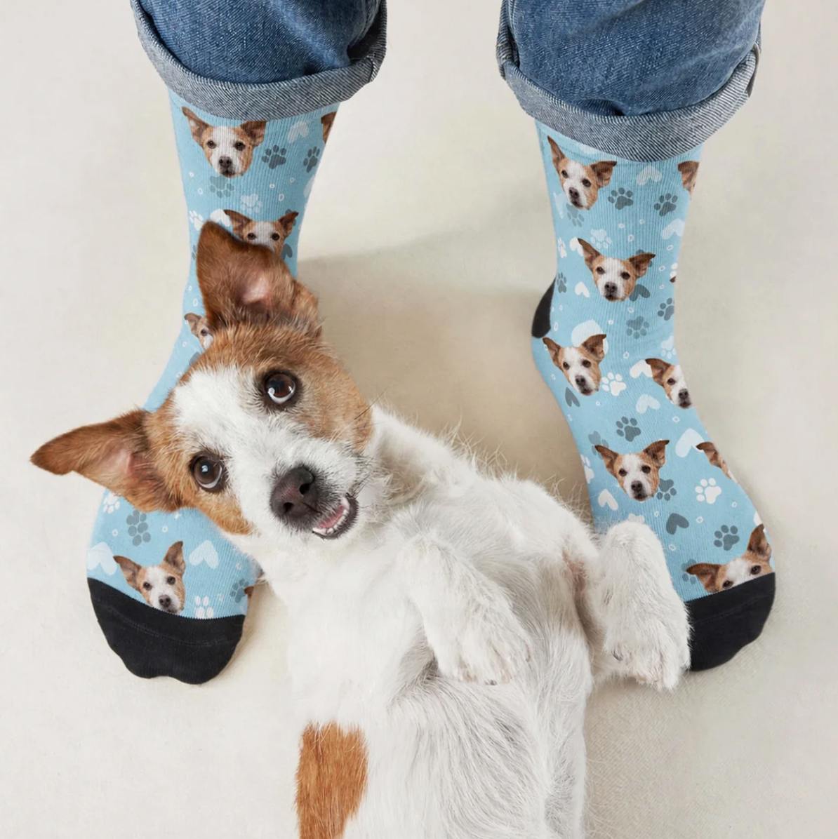 Calzini personalizzati con motivo di cane su sfondo azzurro e un cane sdraiato a terra.