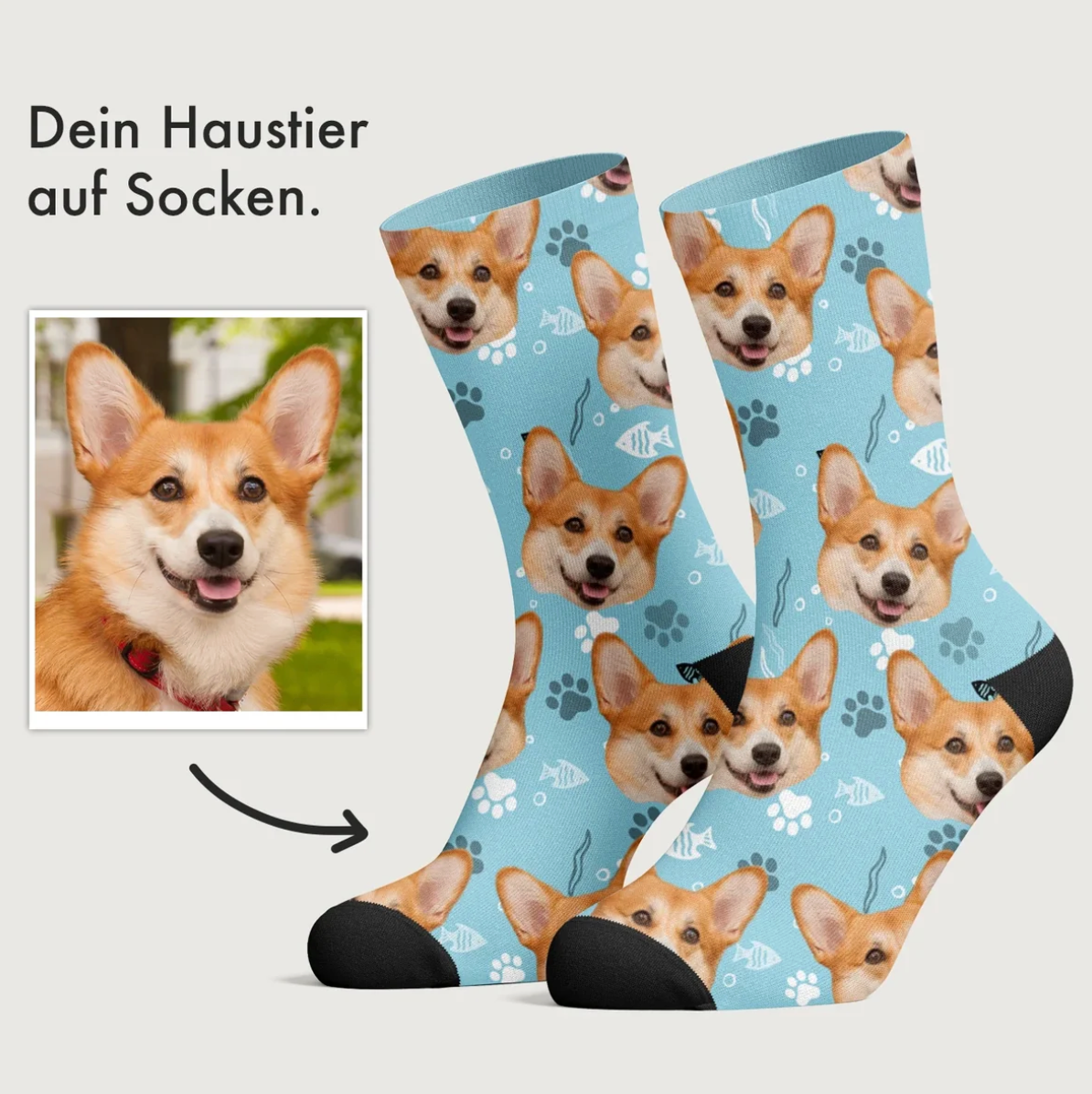Calzini personalizzati di colore blu con fantasia di corgi.