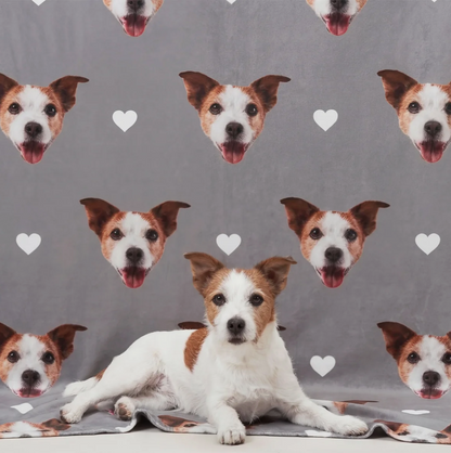 Coperta per animali grigia personalizzata con teste di cani e cuori, animale sdraiato in primo piano.