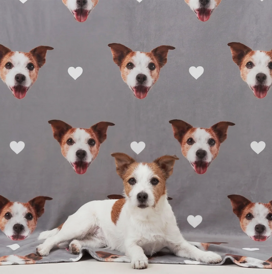 Coperta per animali grigia personalizzata con teste di cani e cuori, animale sdraiato in primo piano.