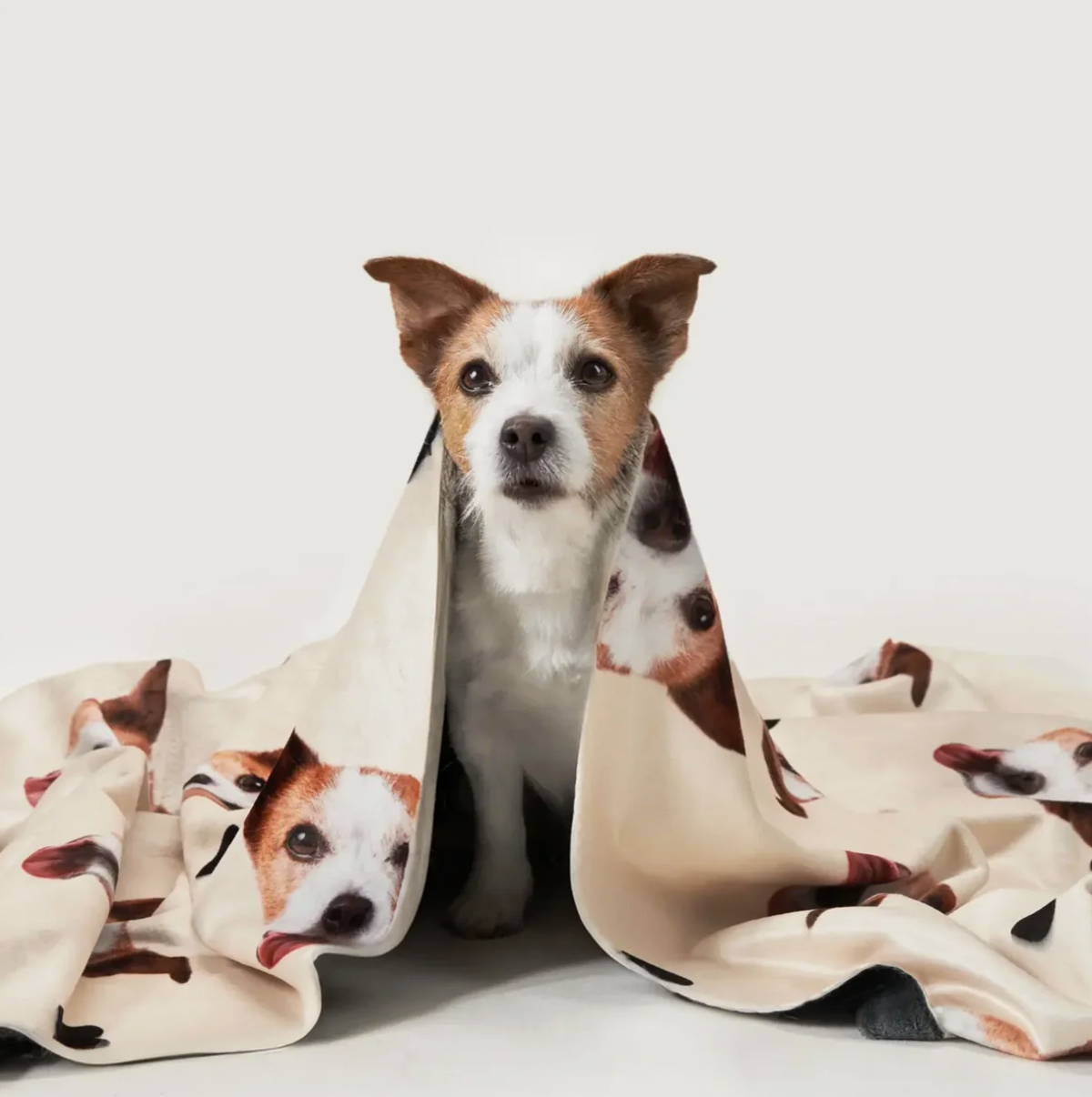 Coperta per animali con teste di animali che avvolge un cane, beige con stampa colorata.